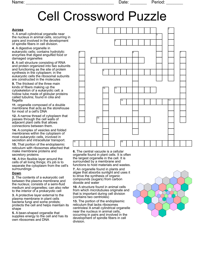 7th Grade Cells Crossword WordMint