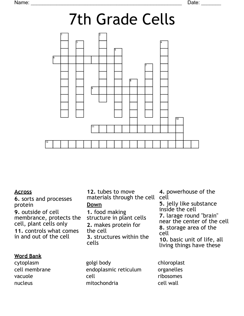 7th Grade Cells Crossword WordMint