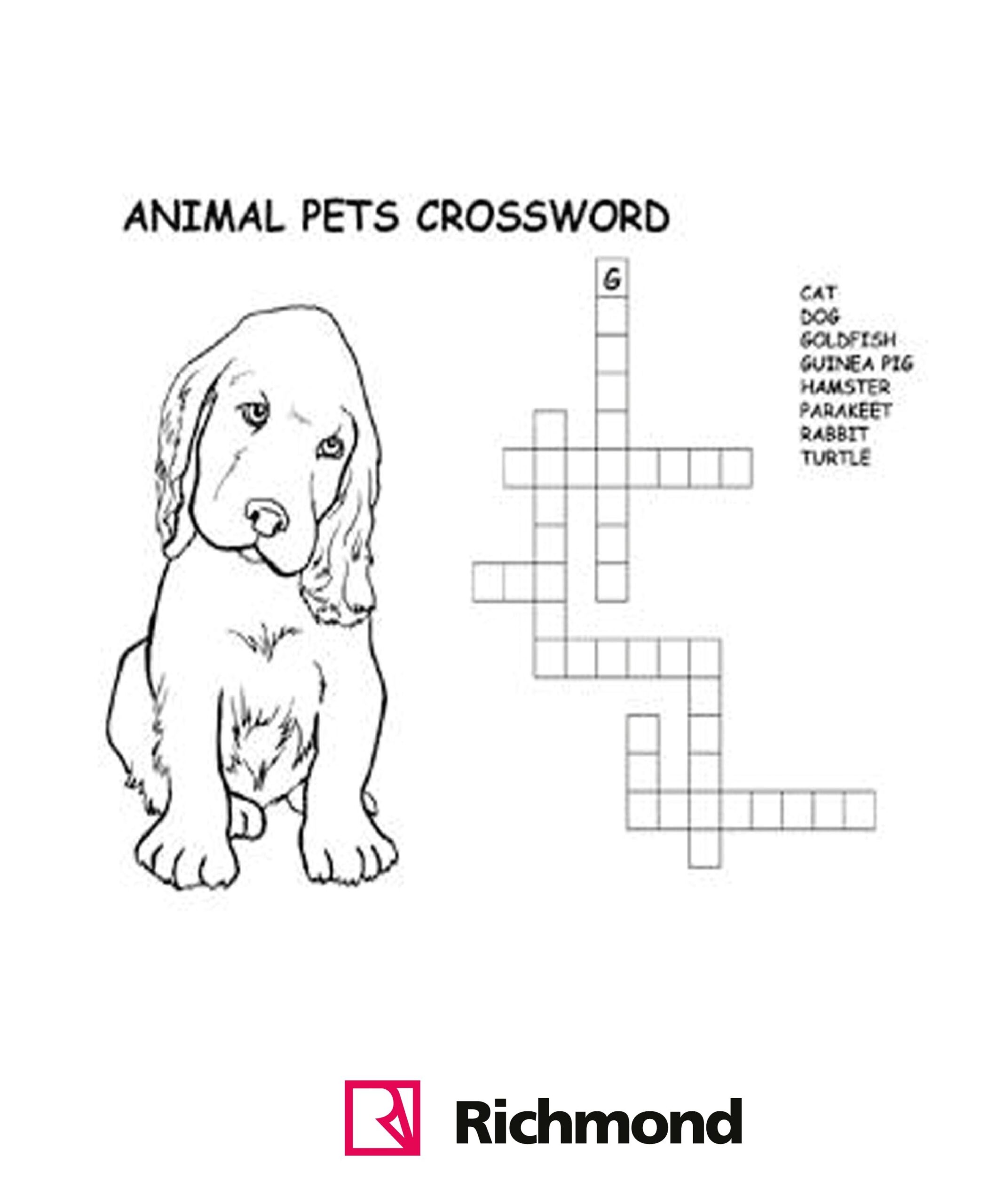 Activities How Cute Is This Puppy Lets Find The Pets In The Crossword 