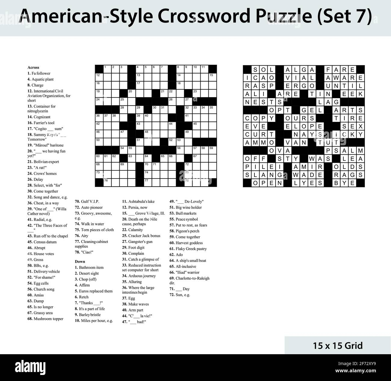 American Style Crossword Puzzle With A 15 X 15 Grid Includes Blank Crossword Grid Clues And Solution Stock Vector Image Art Alamy