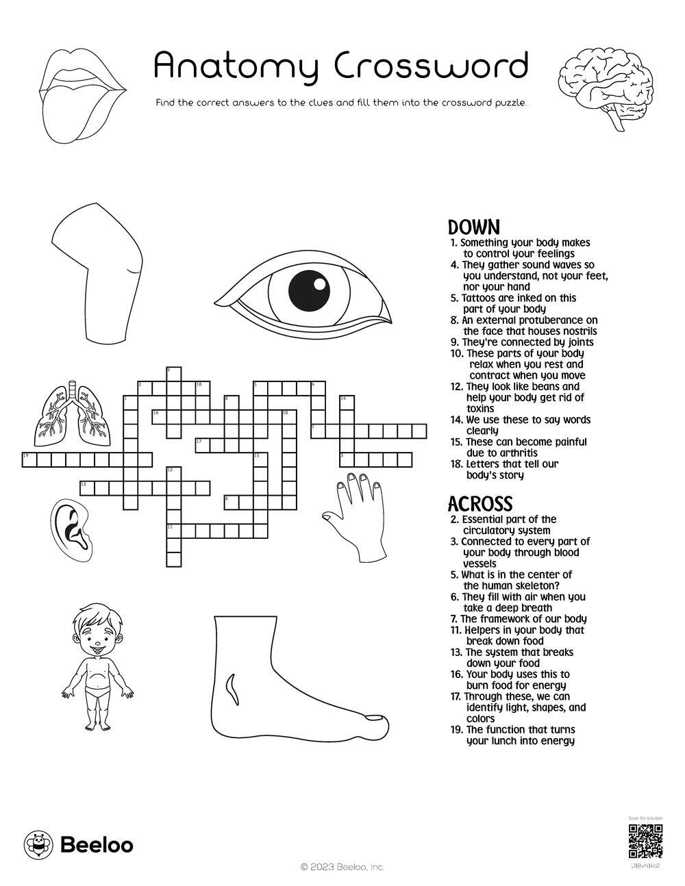 Anatomy Crossword Beeloo Printable Crafts And Activities For Kids