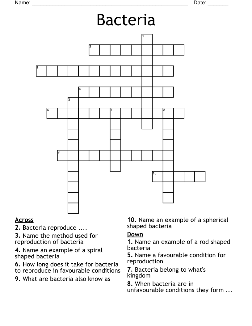 Bacteria Crossword WordMint