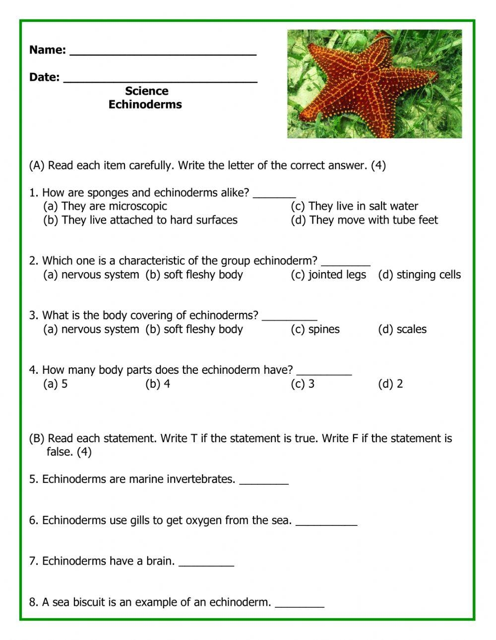 Biodiversity Echinoderms Overview Notes And Crossword Puzzle Worksheets Library