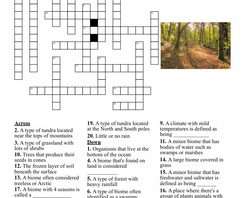 Biomes Crossword WordMint