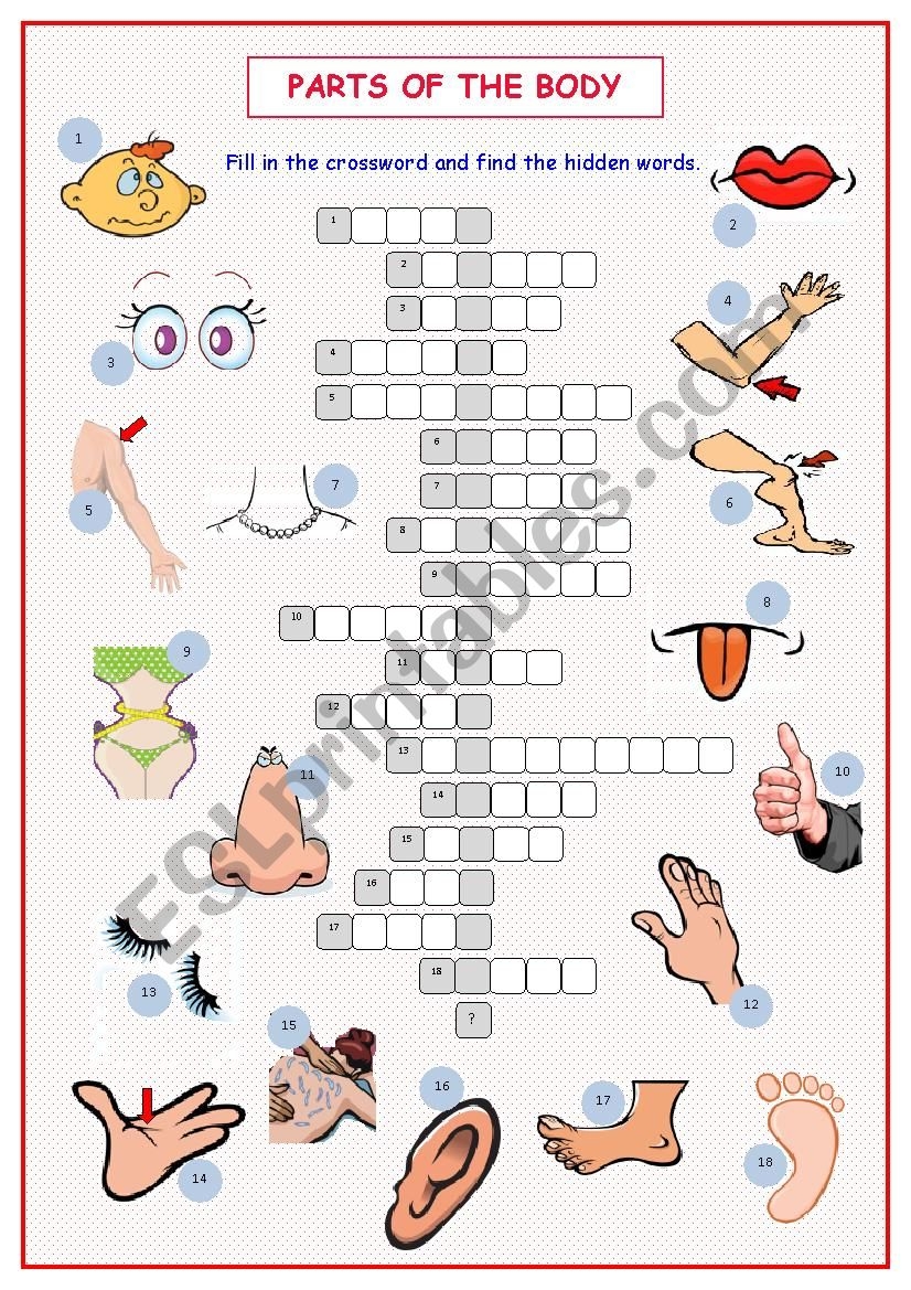 Body Parts Crossword Puzzle ESL Worksheet By Kissnetothedit Worksheets Library