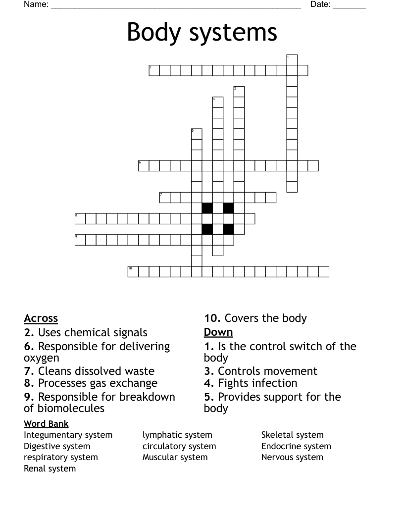 Body Systems Crossword WordMint