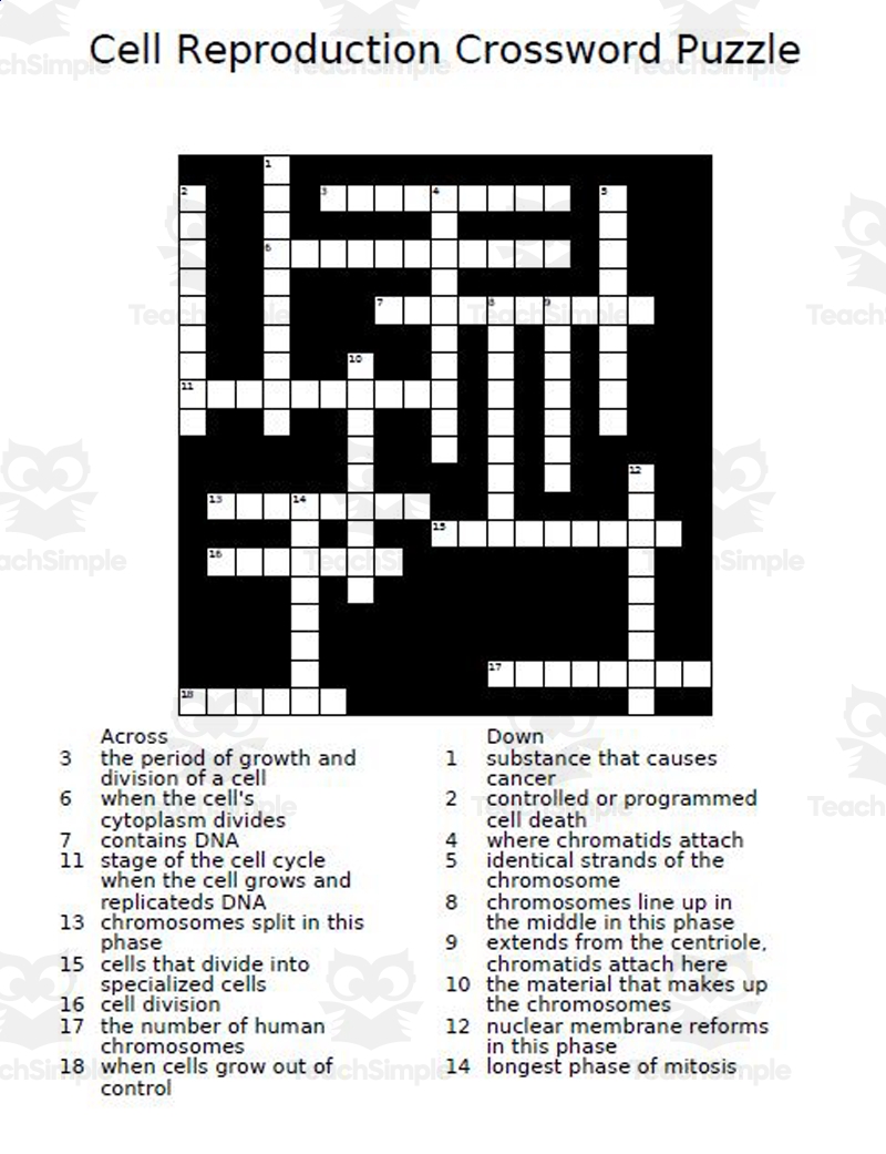 Cell Reproduction Crossword Puzzle By Teach Simple