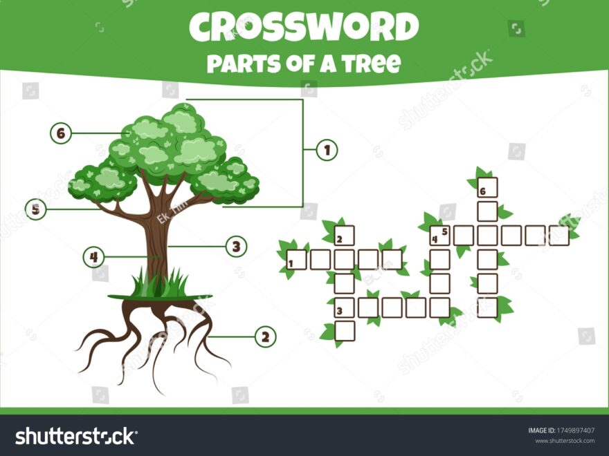Crossword Parts Tree Parts Tree Vector Stock Vector Royalty Free 1749897407 Shutterstock