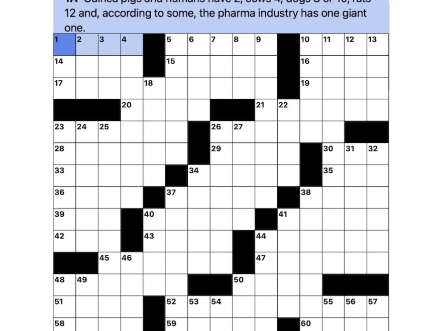 Crosswords Mad In America