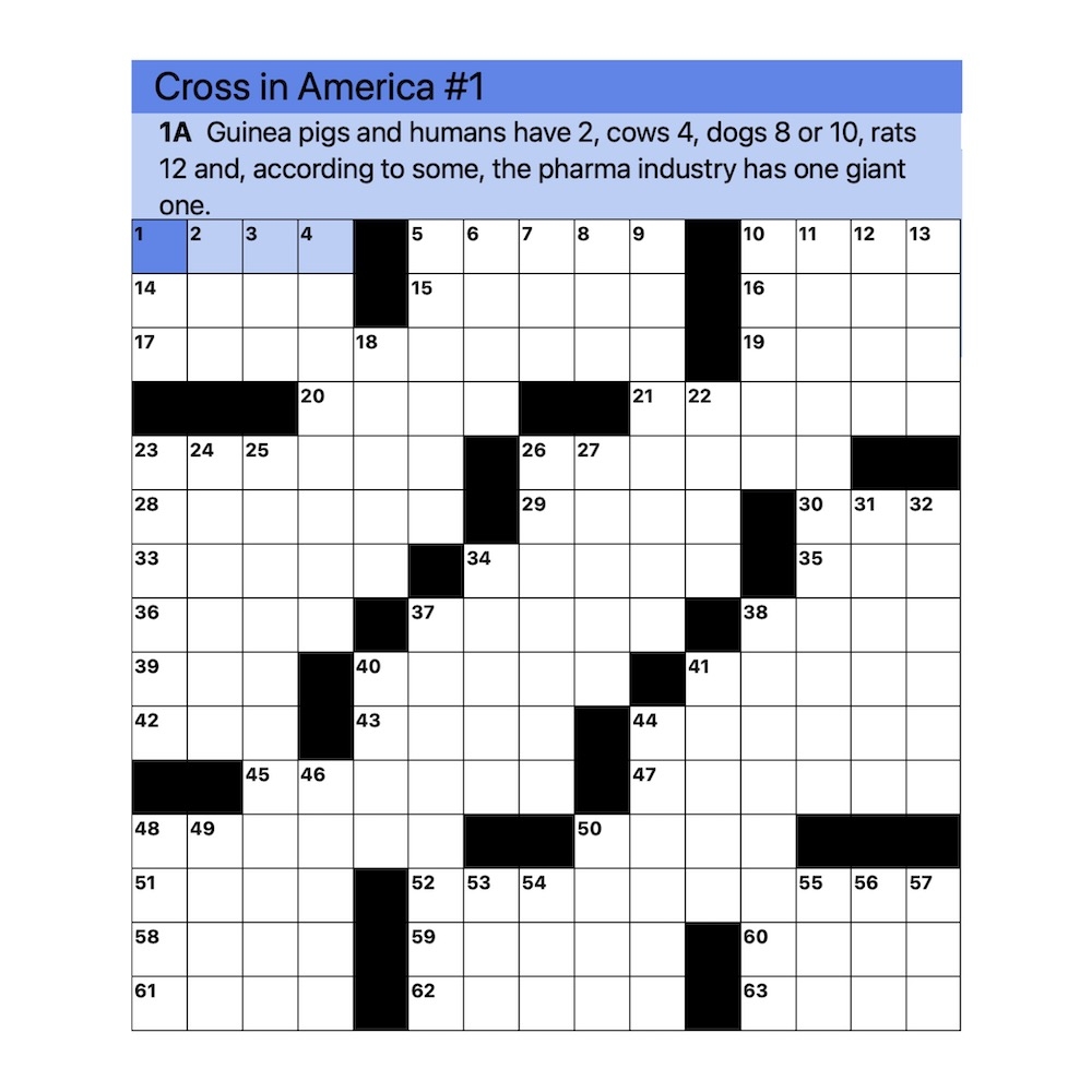 Crosswords Mad In America