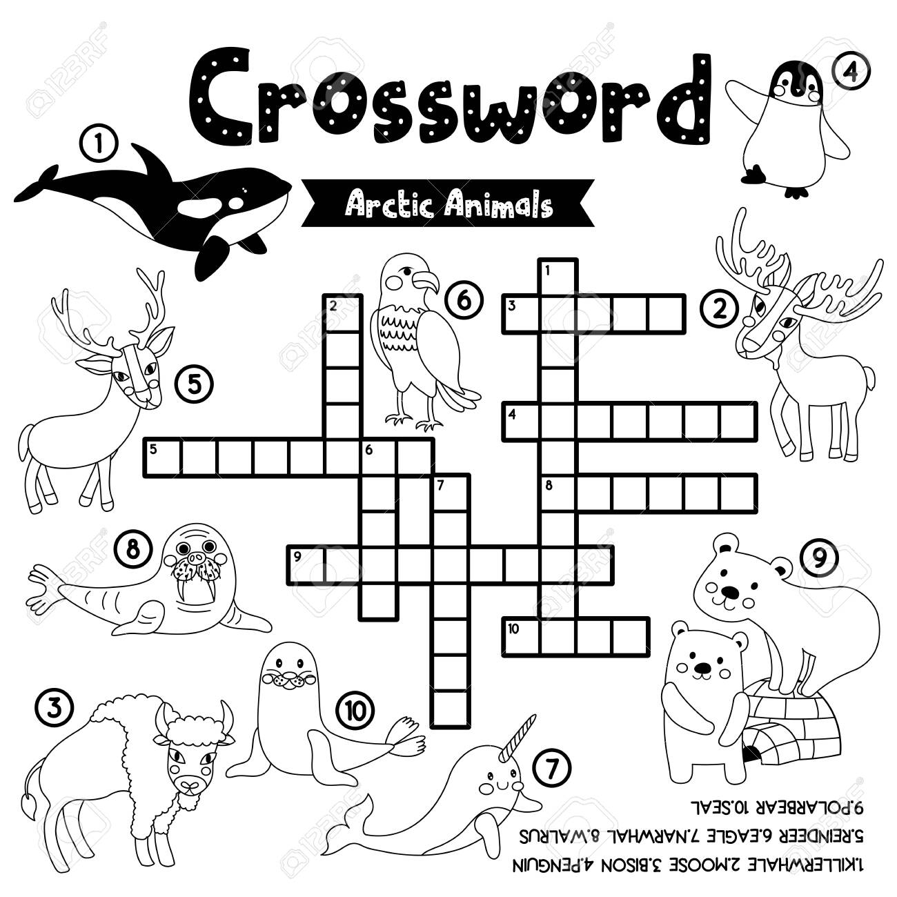 Crosswords Puzzle Game Of Arctic Animals For Preschool Kids Activity Worksheet Coloring Printable Version Vector Illustration Royalty Free SVG Cliparts Vectors And Stock Illustration Image 134549583 