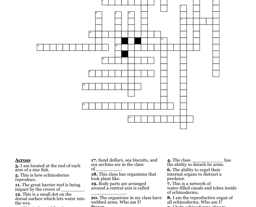 Echinoderm Crossword WordMint