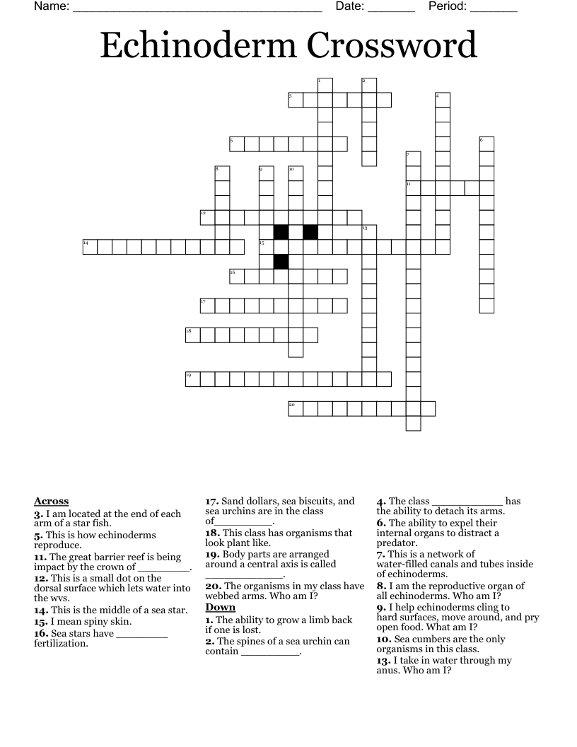 Echinoderm Crossword WordMint