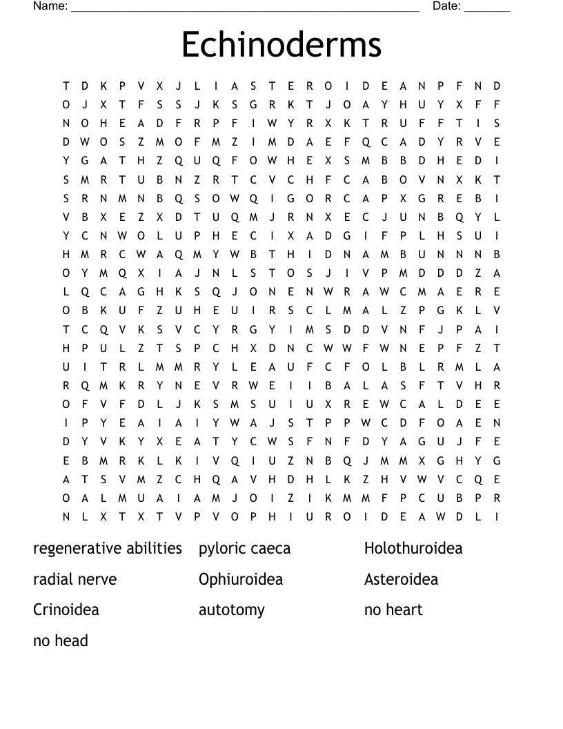 Echinoderms Word Search WordMint