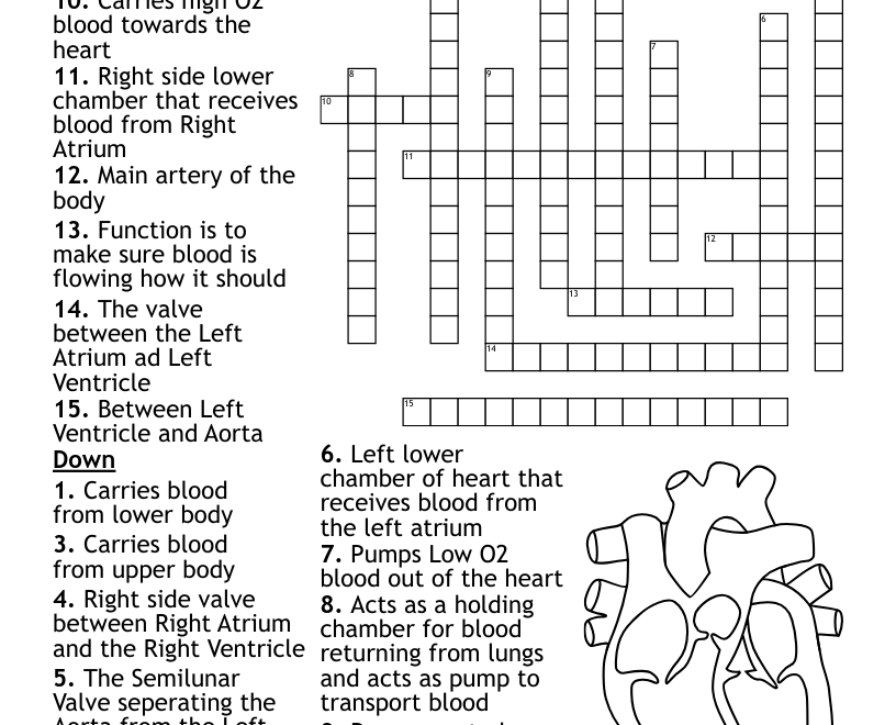 Grade 9 English Crossword WordMint