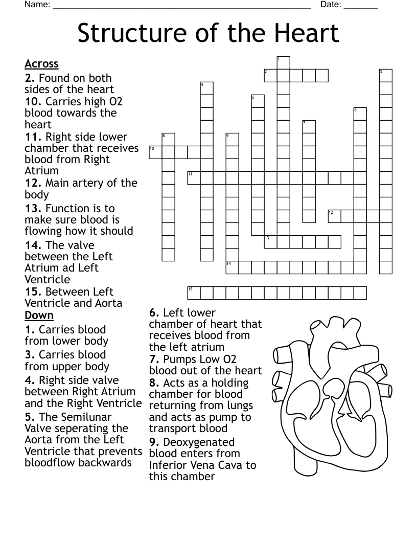 Grade 9 English Crossword WordMint