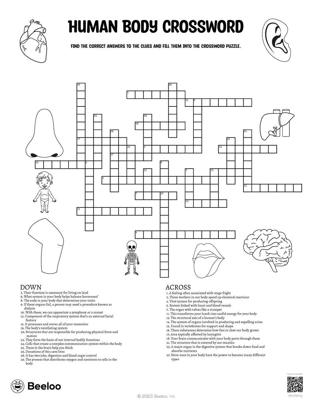 Human Body Crossword Beeloo Printable Crafts And Activities For Kids