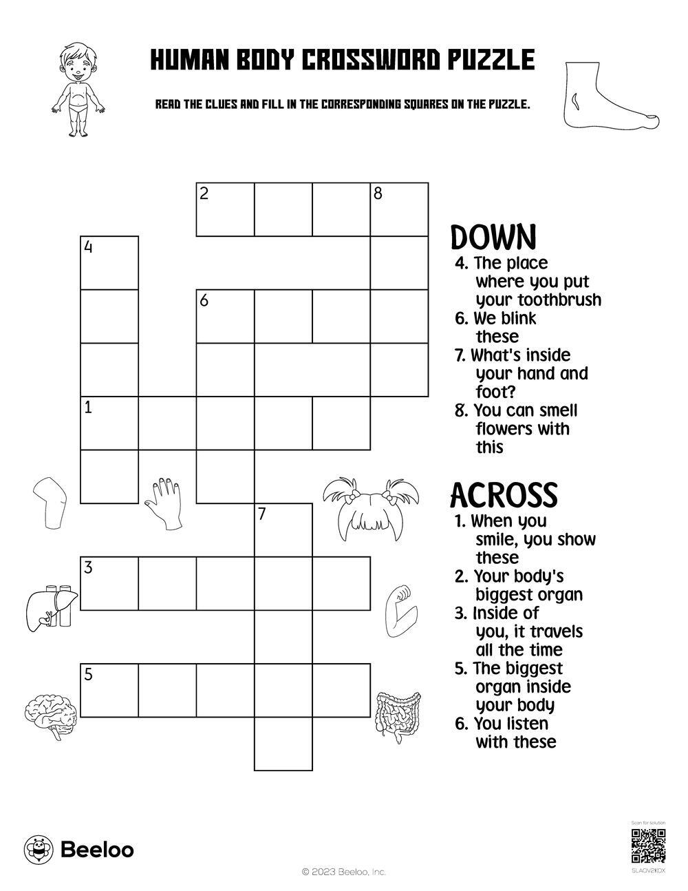 Human Skeleton Crossword Printable