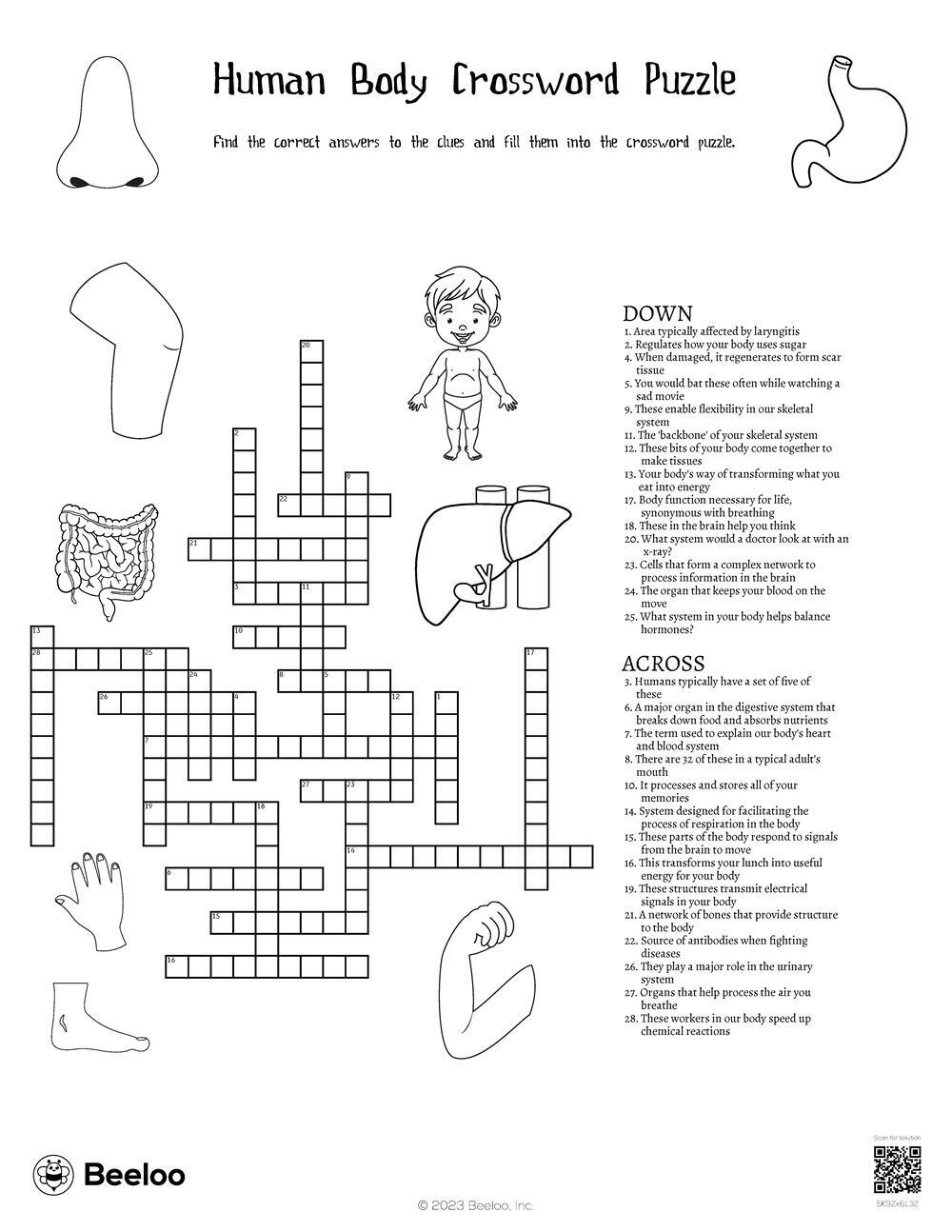 Human Body Crossword Puzzle Beeloo Printable Crafts And Activities For Kids