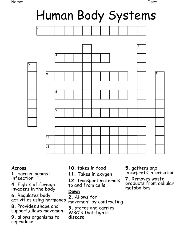 Human Body Systems Crossword WordMint
