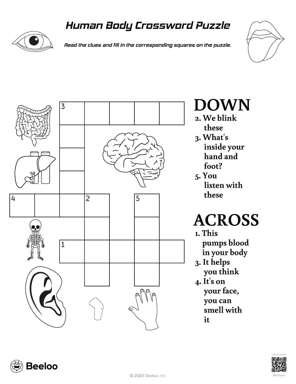 Human Body themed Crossword Puzzles Beeloo Printable Crafts And Activities For Kids