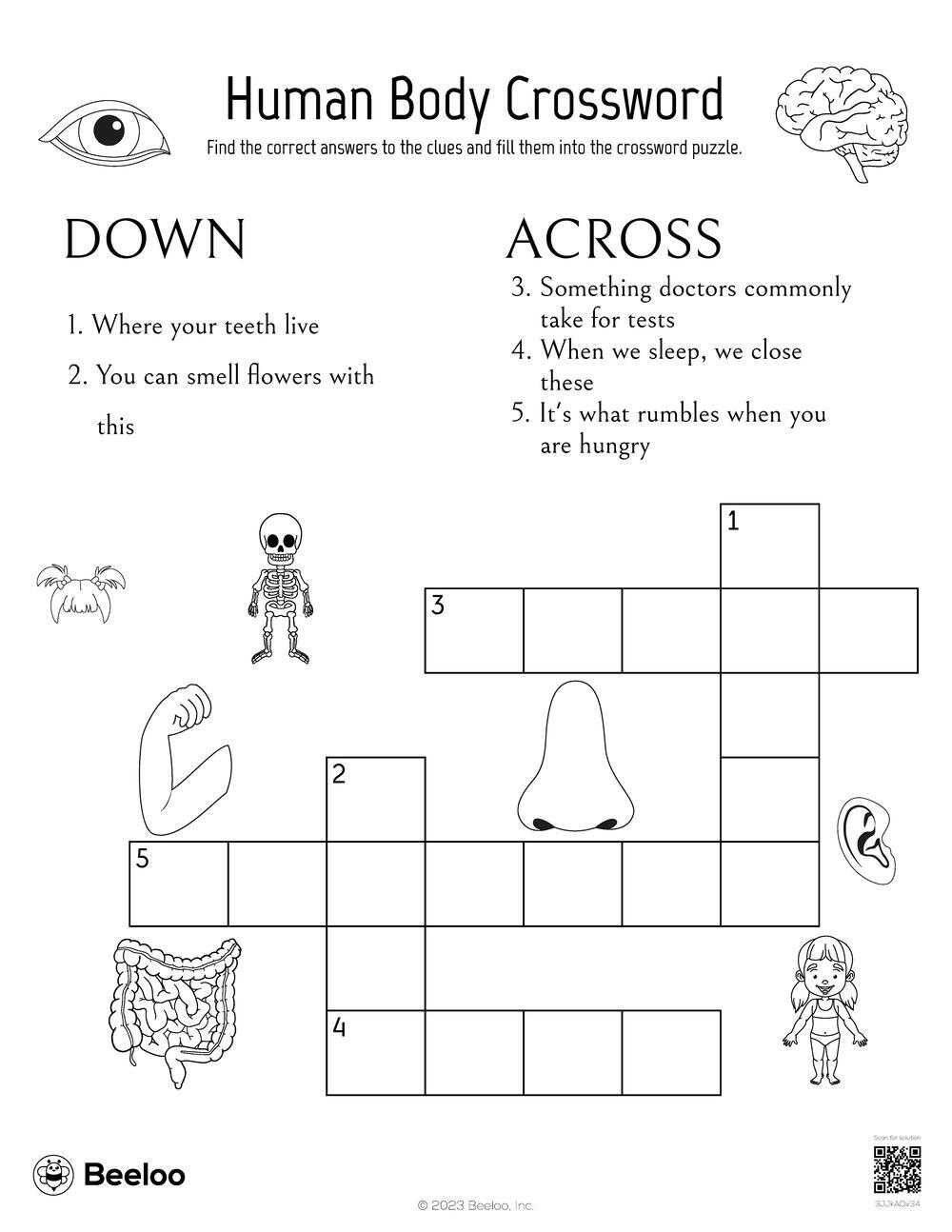 Human Body themed Crossword Puzzles Beeloo Printable Crafts And Activities For Kids