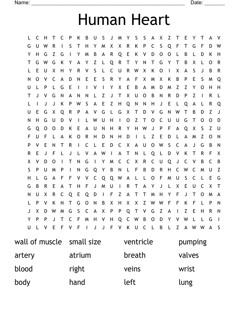 Human Heart Word Search WordMint