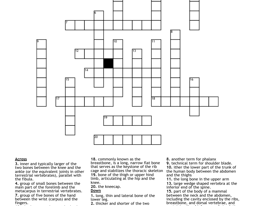 Human Skeleton Crossword WordMint