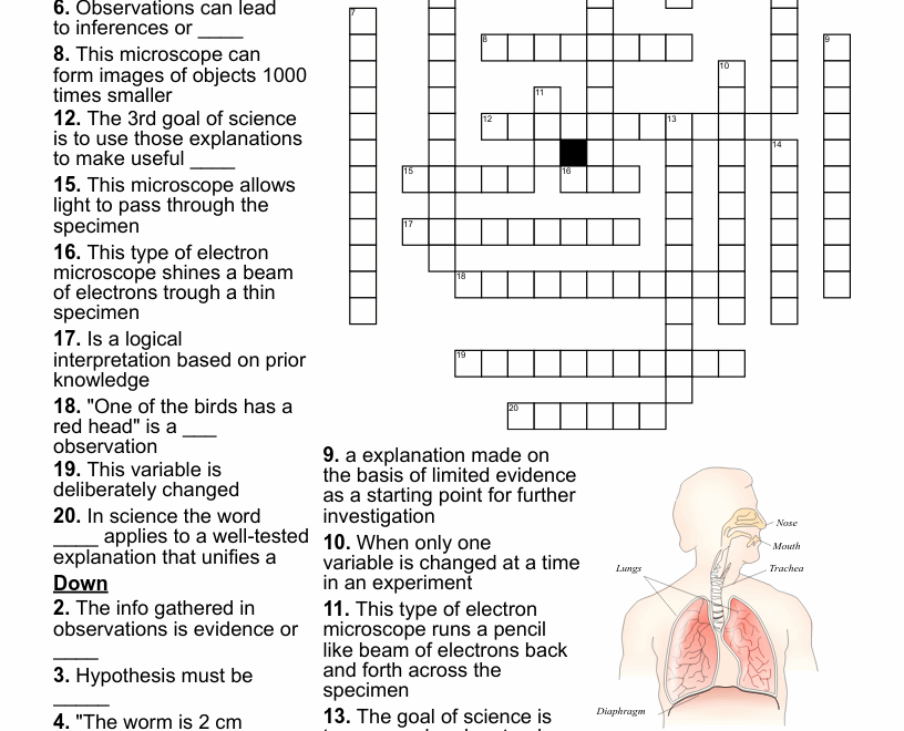 Introduction To Science Crossword WordMint