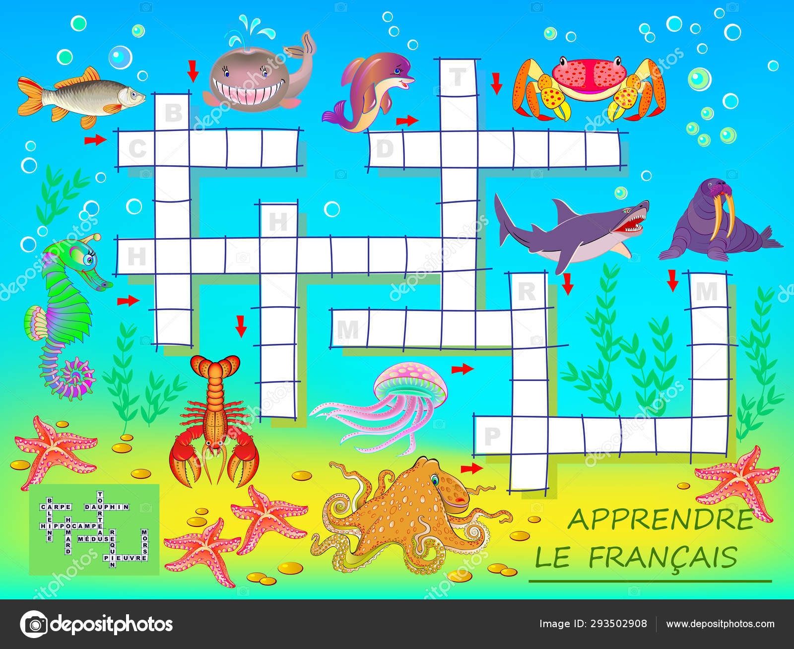 Learn French Crossword Puzzle Game Sea Animals Educational Page Children Stock Vector By Nataljacernecka 293502908