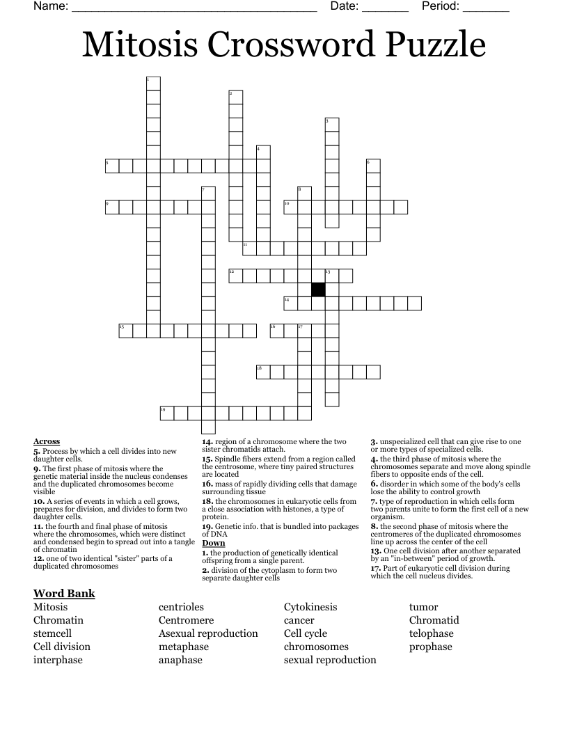 Mitosis Crossword Puzzle WordMint