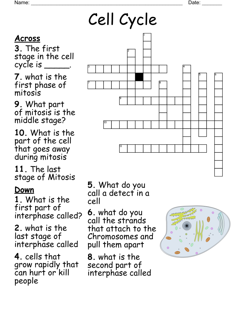 Mitosis Crossword WordMint