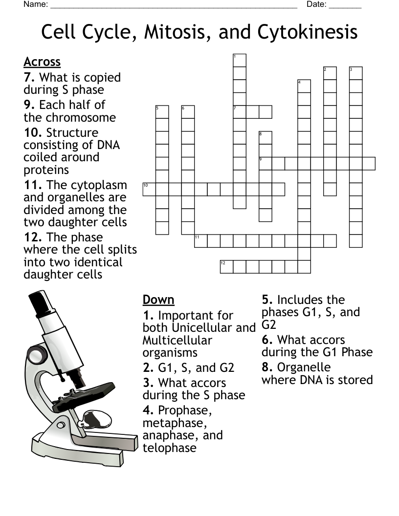 Mitosis Crossword WordMint