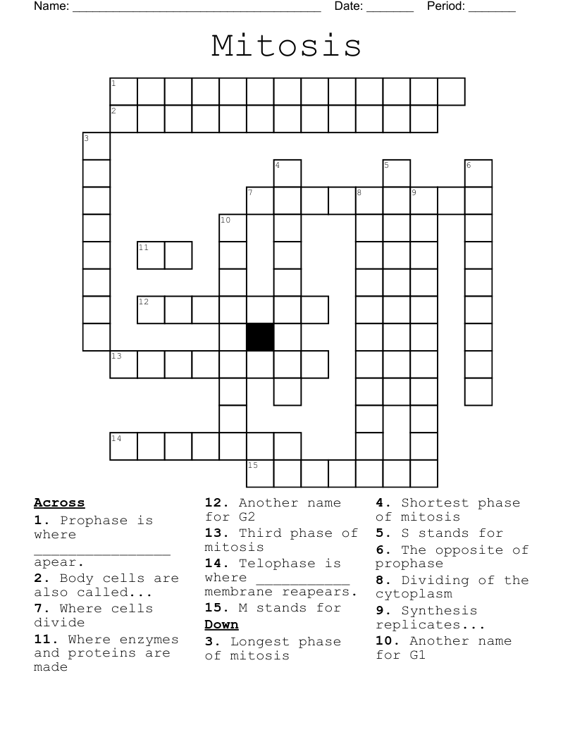 Mitosis Crossword WordMint