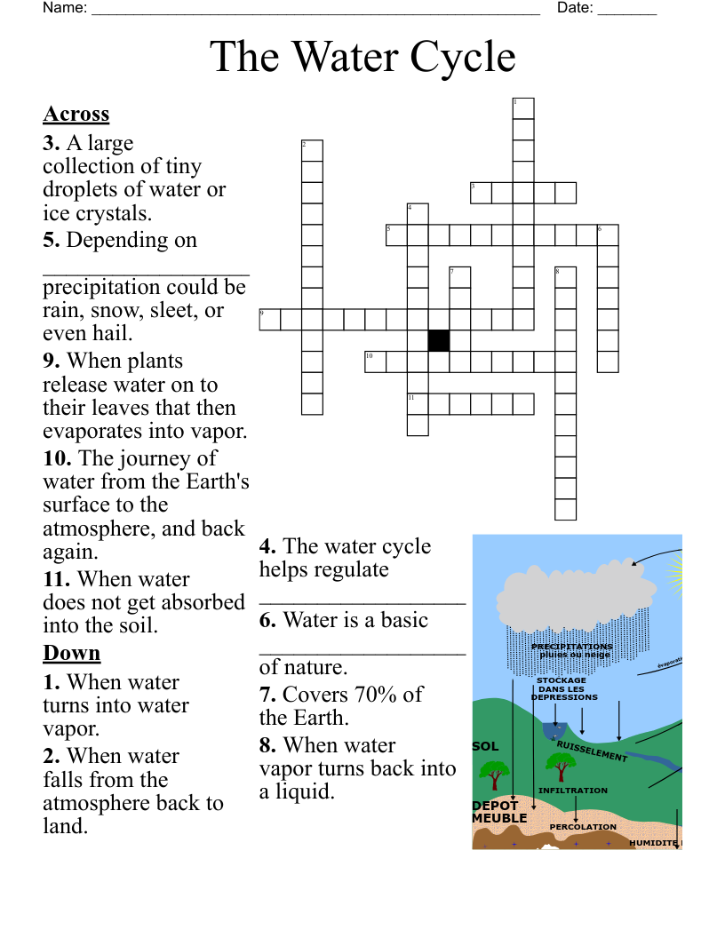 NCLEX Crossword WordMint