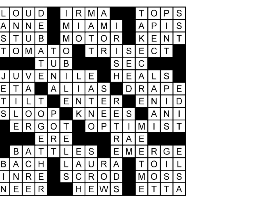 Online Crossword Sudoku Puzzle Answers For 07 29 2025 USA TODAY