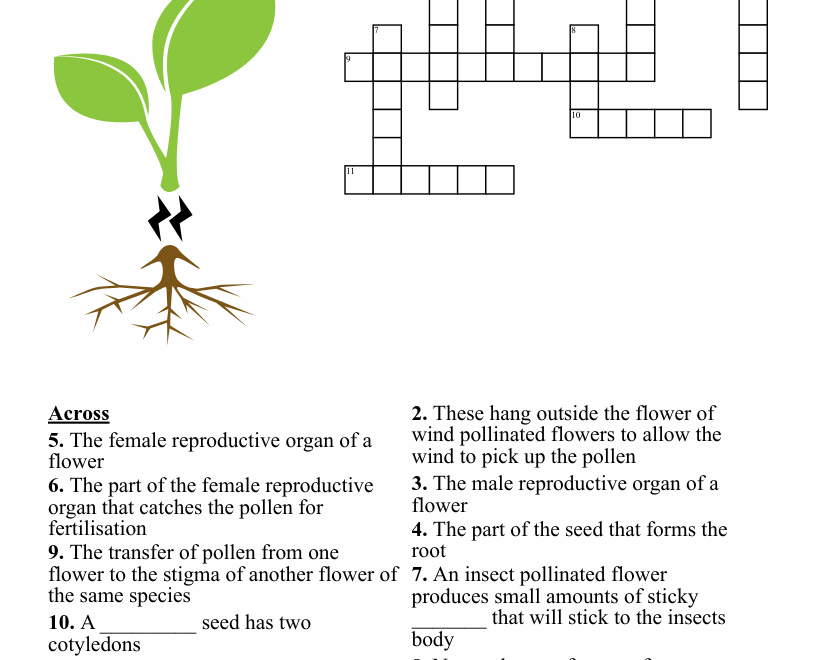 Parts Of A Flower Crossword WordMint