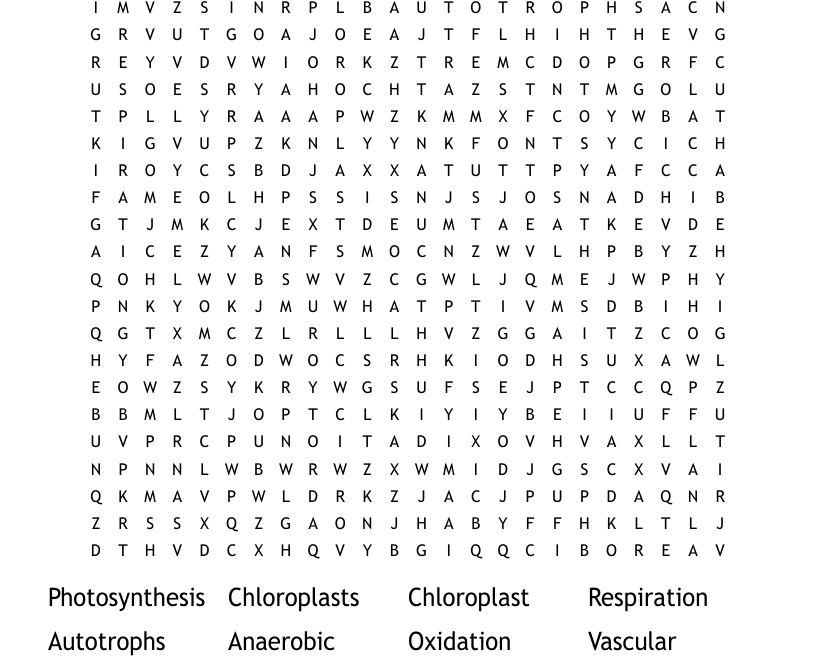 Photosynthesis And Respiration Word Search WordMint