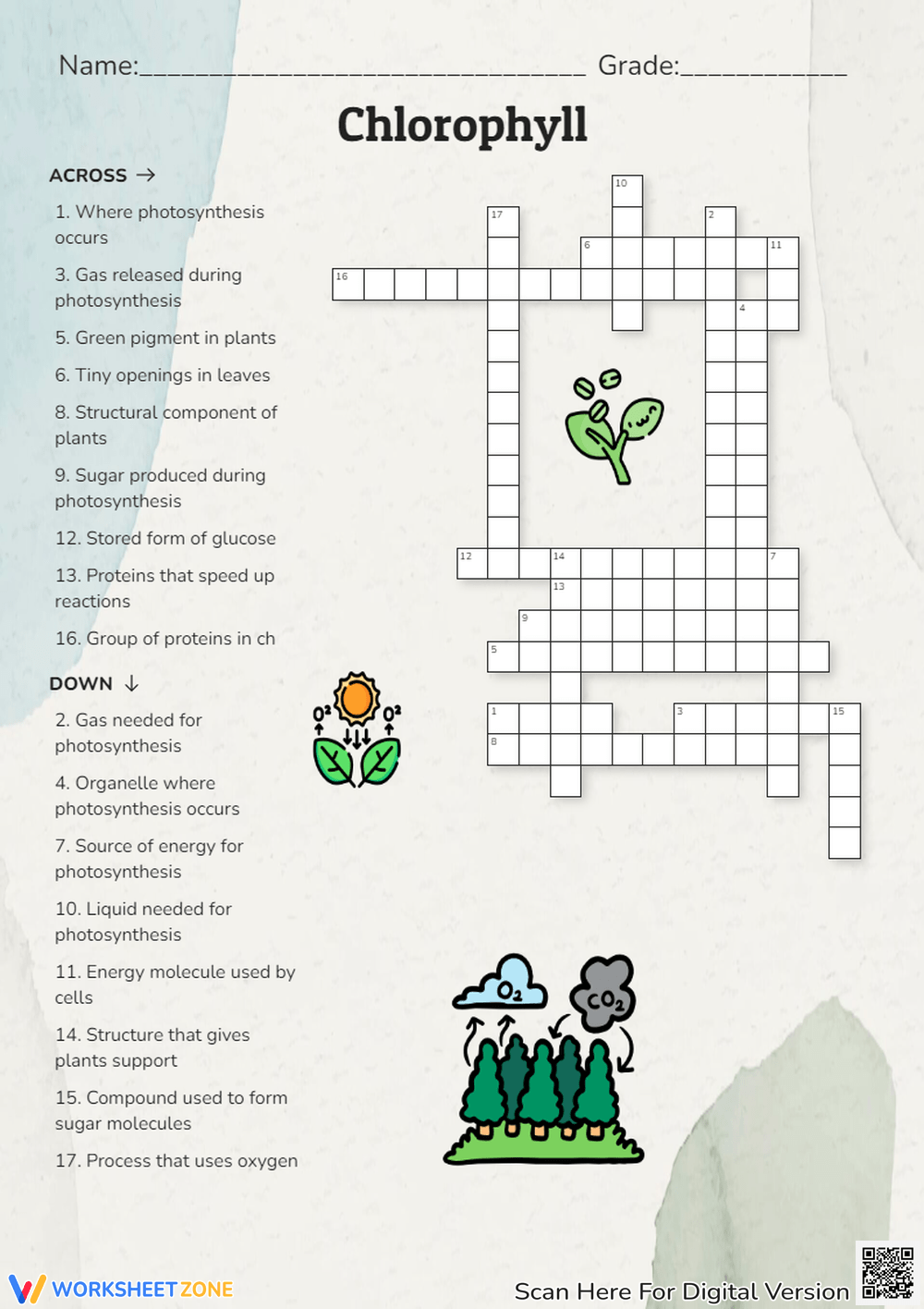 Photosynthesis Crossword Biology Beyond Secondary Worksheets Library