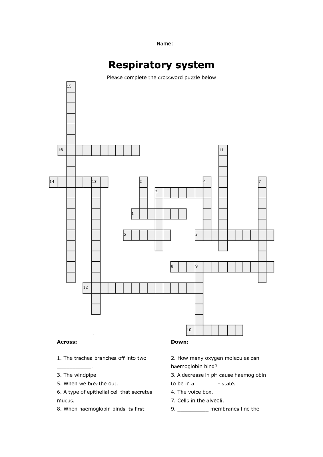 Respiratory System Crossword Puzzle Printable
