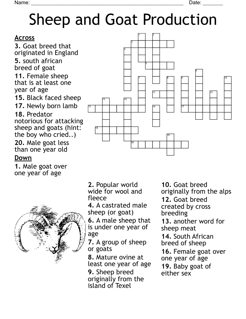 Sheep And Goat Production Crossword WordMint