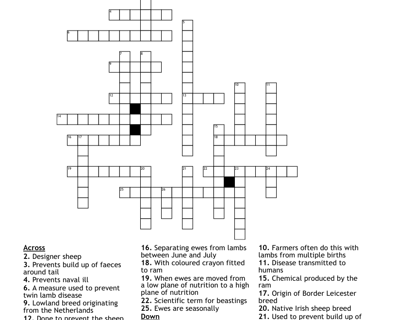 Sheep Crossword WordMint