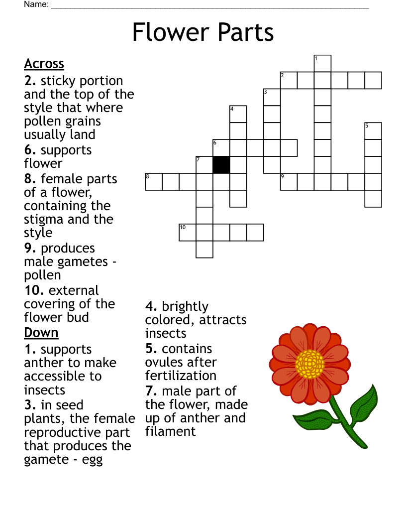 Spring Flowers Crossword WordMint