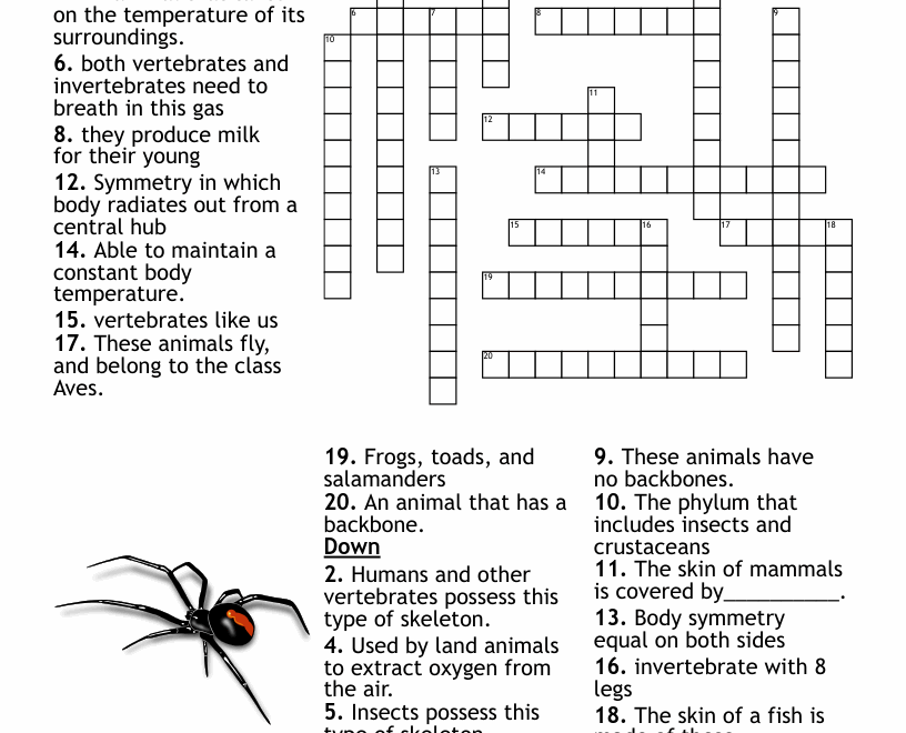 Vertebrates And Invertebrates Crossword WordMint