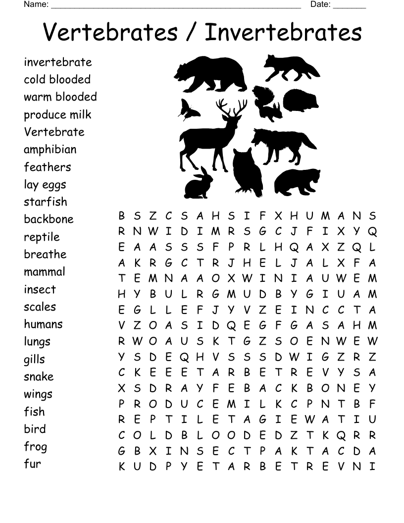 Vertebrates Invertebrates Word Search WordMint Vertebrates Invertebrates Word Search WordMint