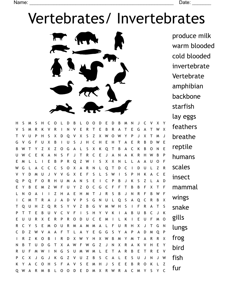 Vertebrates Invertebrates Word Search WordMint Vertebrates Invertebrates Word Search WordMint