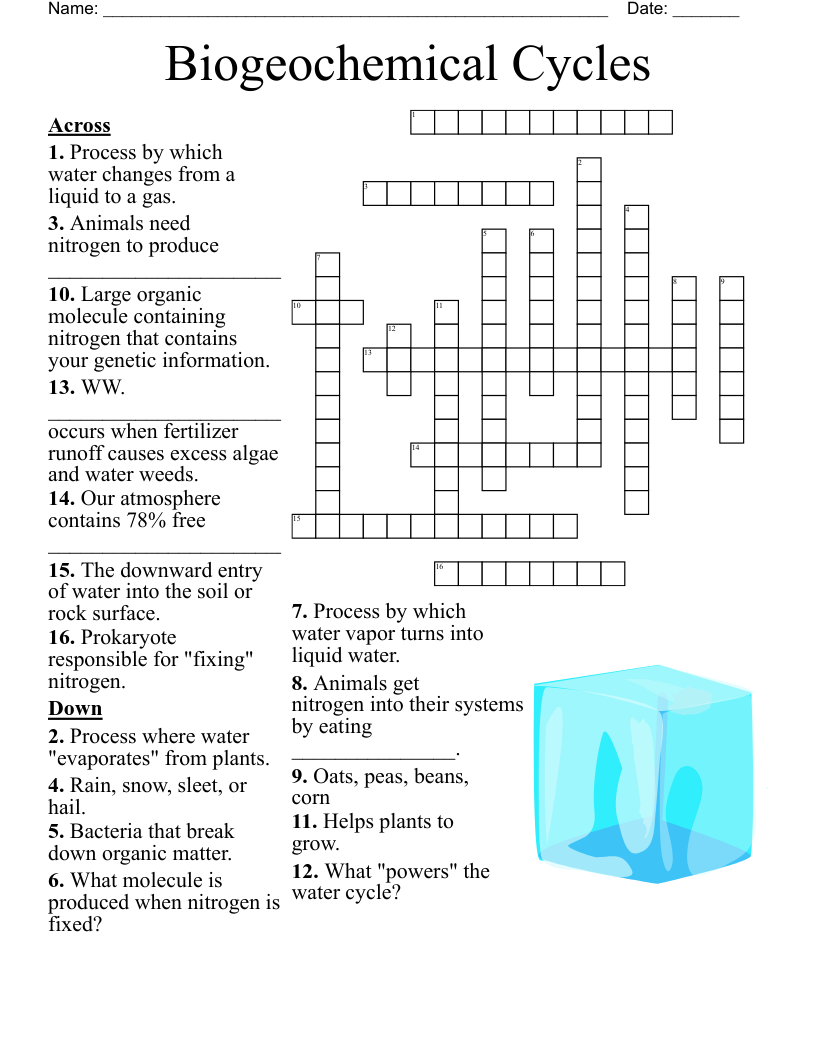 Water Cycle Crossword WordMint