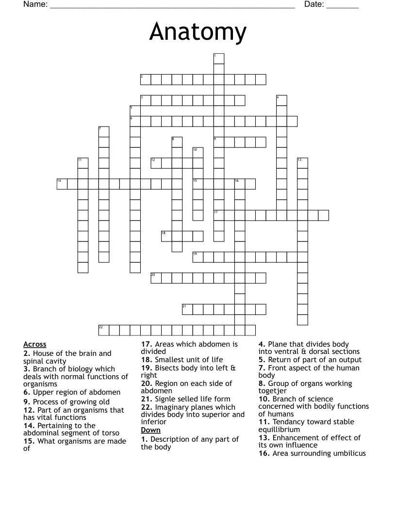 Anatomy Crossword WordMint
