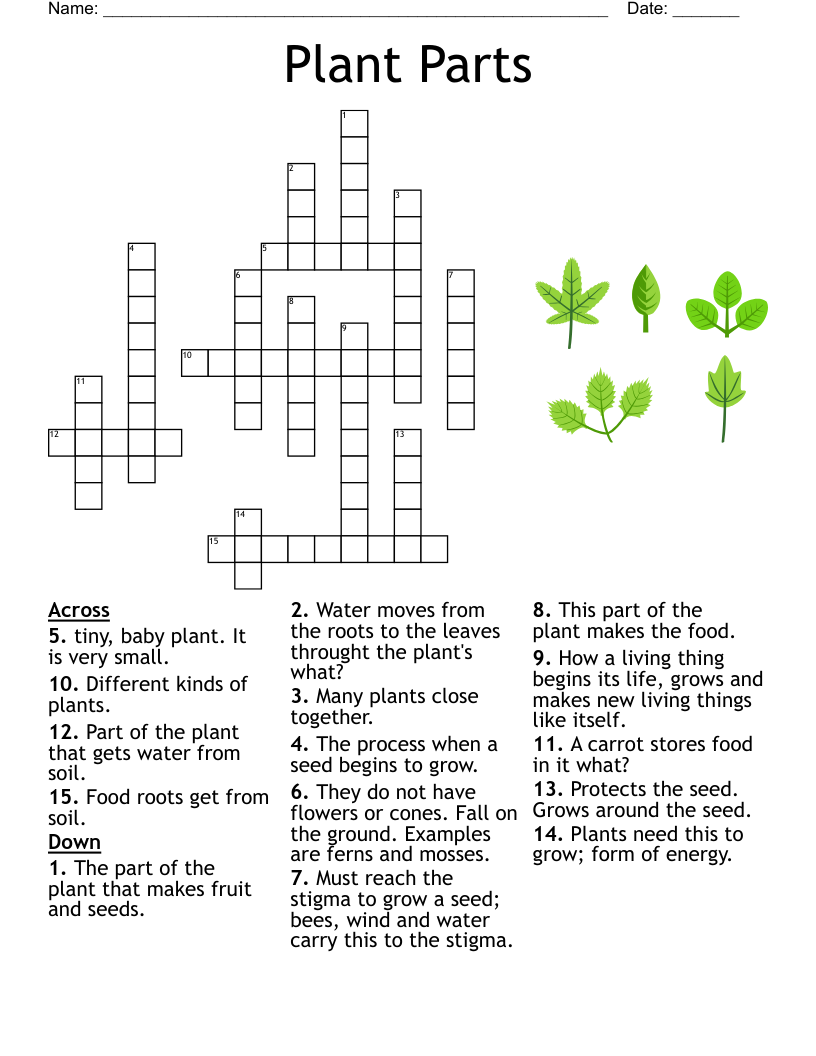 Crossword Puzzle Garden Printable Crossword Puzzle Garden Printable