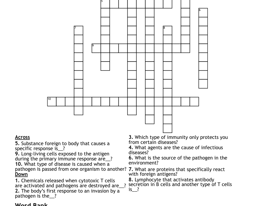 Immune System Crossword Puzzle WordMint